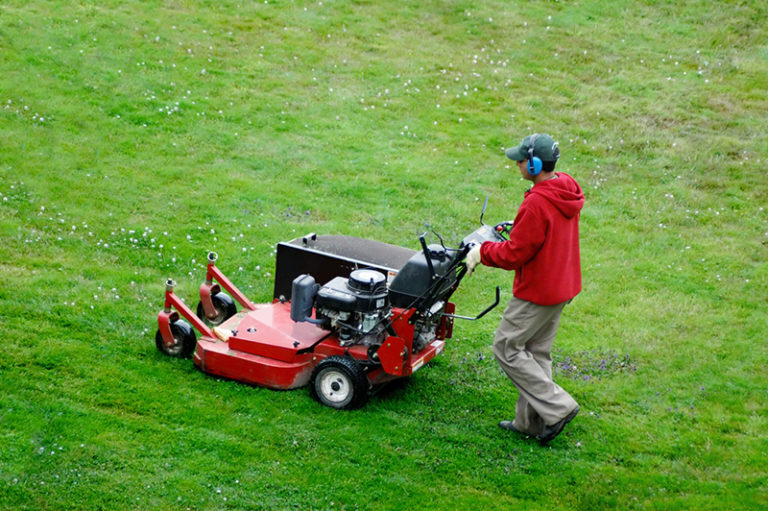 Lawn Service Cost Bermuda Lawn Guide